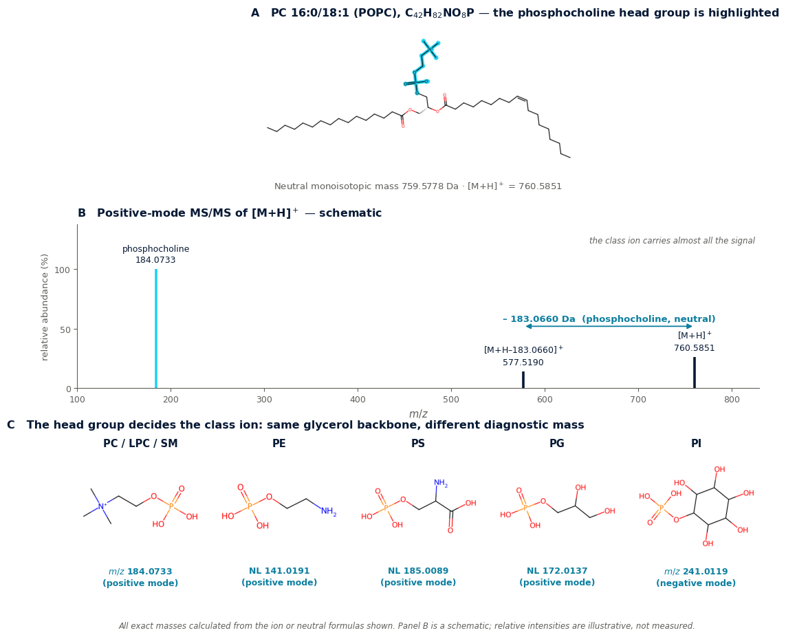 Lipid Classes in LC-MS: Characteristic Fragment Ions and Neutral Losses