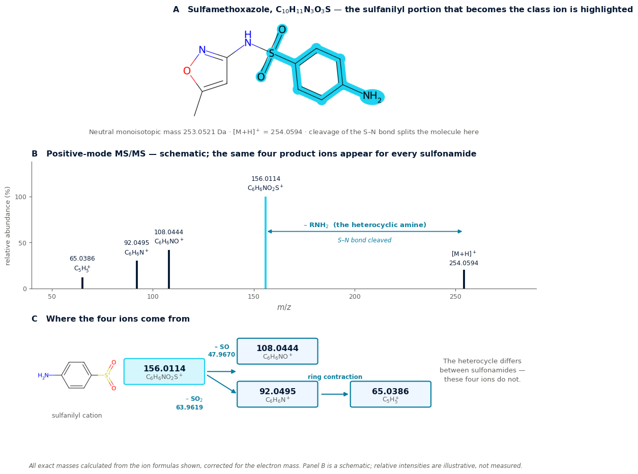 Sulfonamides: Characteristic Fragment Ions and Neutral Losses